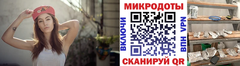 Галлюциногенные грибы Psilocybe  где купить   Славянск-на-Кубани 